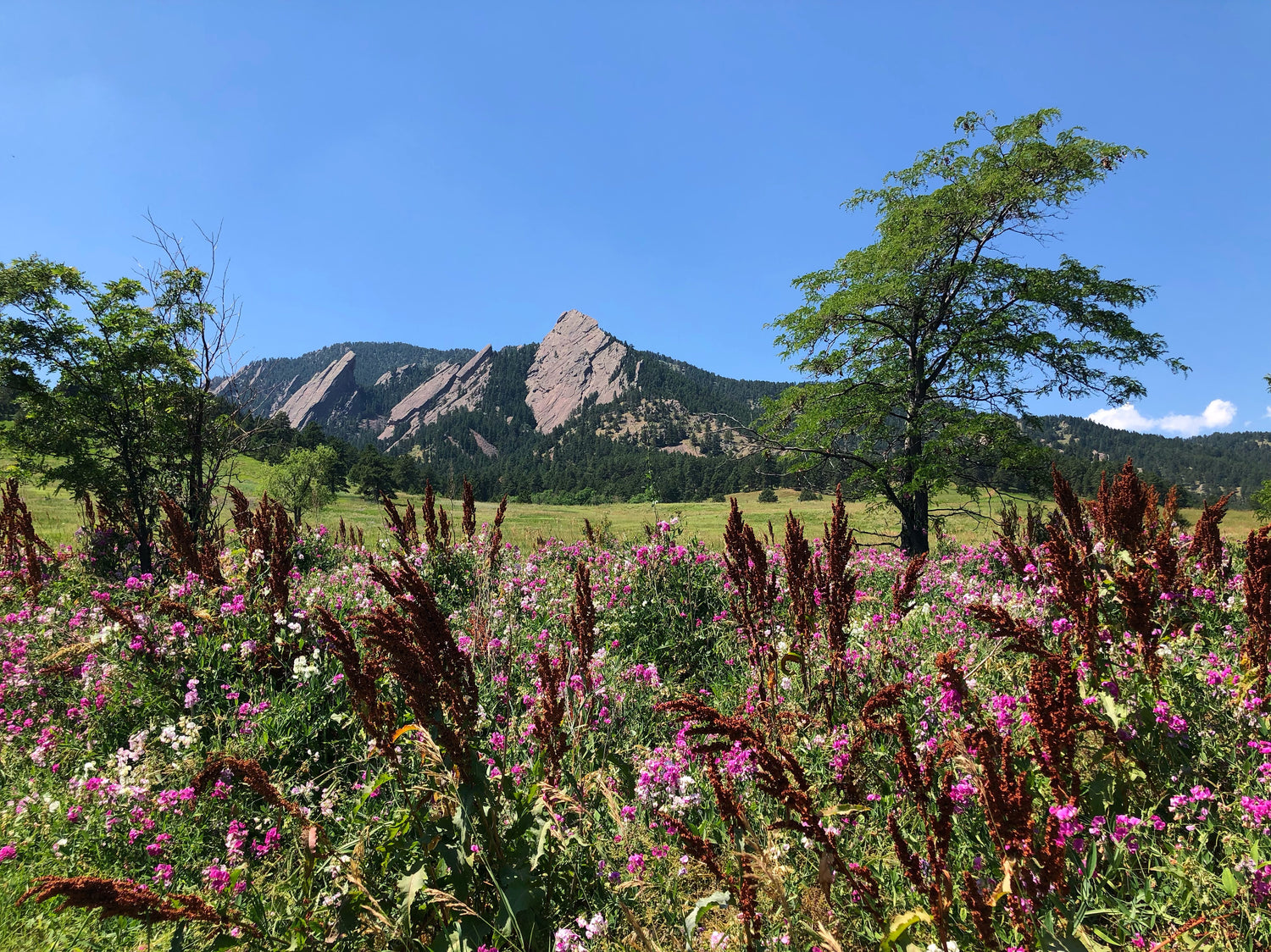Boulder Flatirons